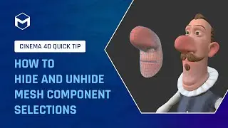 #C4DQuickTip