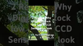 2 reasons why Digi cameras rock low cost and CCD Sensor film look