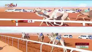ش12 سباق اللقايا لأبناء القبائل- مهرجان جائزة الملك عبدالعزيز- صباح 7-1-2022