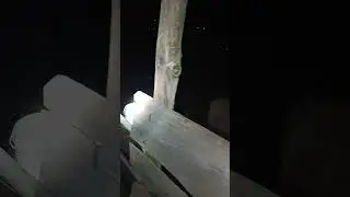 Ночной обход /Россия/ #деревня