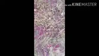 ⚡Ничего человеческого им не чуждо😁⚡