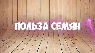 Семена Арбуза