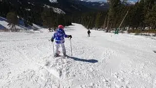 Aviva top to bottom - Castle Peak Northstar