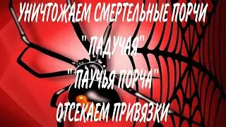 УНИЧТОЖЕНИЕ ПОРЧИ " ПОДУЧАЯ" И " ПОУЧЬЯ" ОТСЕКАМ ПРИВЯЗКИ,#ритуалчистка #чистки #чакры#