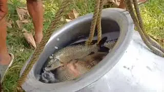 Nengmandalgre Fishing competition