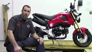Honda Grom MSX 125 Mods and First Impression