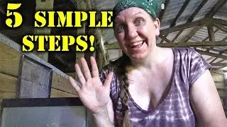 5 SIMPLE Steps To Raising Mealworms!