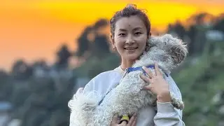 Exploring dharamsala hidden beauty ⛰️ 🏞️🐶#tibetanvlogger#travel #love #couple
