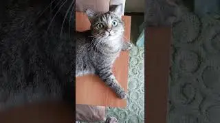 Давай,поцелуемся!! 😻😻🙂 