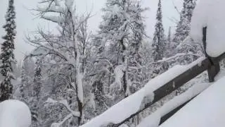 Миньяр