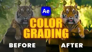 Color Grading in After Effects 2024 Part 1 Hindi