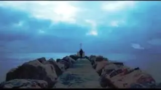 neşe karaböcek -- geri dönülmez  yoldayım