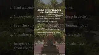 Grounding Technique Nervous System Regulation