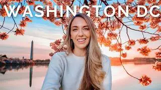 The PERFECT few days in Washington DC 🇺🇸 USA Travel Guide