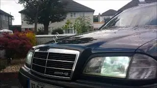 HID 4300 K  Cambus LED