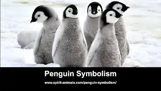 Penguin Symbolism