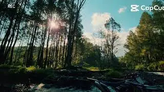 viral sungai asik buat santui jambewangi