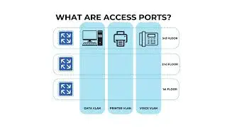 What are Access Ports?
