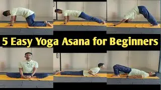 5 Easy Yoga Asanas With Names | Yoga for Beginners | Yoga Stretches