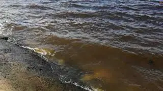 Вода на Афанасьевском пляже