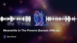 Meanwhile In The Present (Sample #99) by Sam Chimes