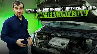 A cautionary tale about the reliability of the Toyota Sienna's 3MZ-FE engine.