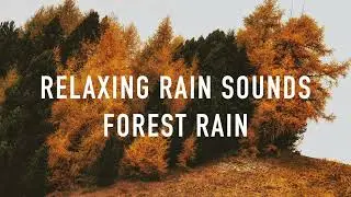 Rain Sounds For Sleeping - Rain Forest Nature Sounds - Sleep Better