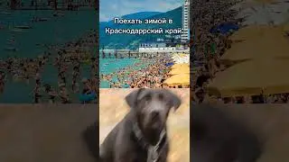 тут выбор очевиден #топ #мир #россия #мурманск #красота #краснодар #зима