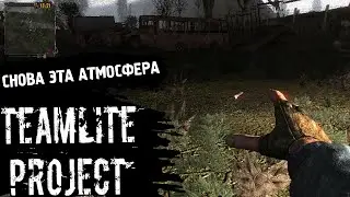 СНОВА ЭТА АТМОСФЕРА | TeamLite Project #1