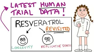 Resveratrol human trials - latest reports
