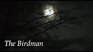 The Birdman by Lord RazorSlik
