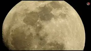 The Majestic Moon: A Journey Through Space and Time #viral #trending #moon