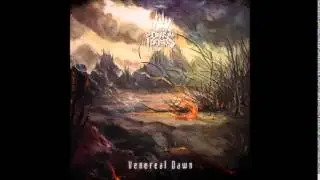 Dark Fortress - The Deep Acoustic Version Bonustrack