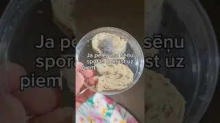 Pelējuma sēne uz maizes 🫣 #sēne #shorts #mold #biology