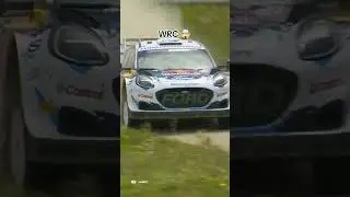 The Beauty of World Rally Championship