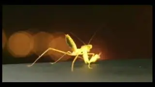 Вот это да