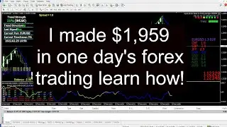 I made $1,959 in one day's forex trading learn how! Video 15