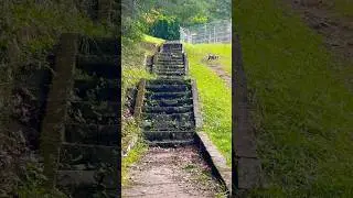 Exploring Spectacular Mountain Stairs. #nature #stairs