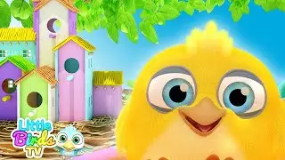 Peek a Boo | Funny Song for Kids
