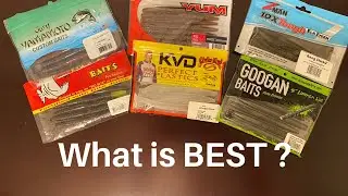 BEST Senko Style Bait? (UNDERWATER TEST!)