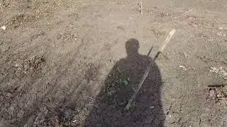 Пришла весна в Воронежскую область