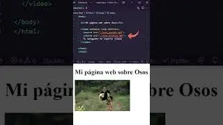How to INSERT a VIDEO in HTML 👌😉 [HTML from scratch] 