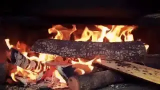 paella en el bosque
