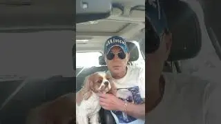 Анекдот. Муж на час...