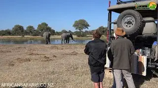 Morning tea with elephants, Botswana.