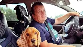 Я чуть не купила лошадь! Сбылась мечта! Муж в шоке от моих покупок!)))