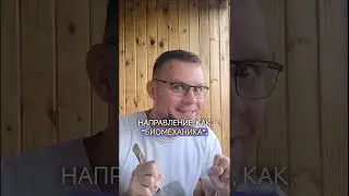 Про бесполезный «фитнес»