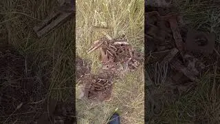 Бизнес с НУЛЯ и без вложений в ДЕРЕВНЕ // металлокоп с пиратом