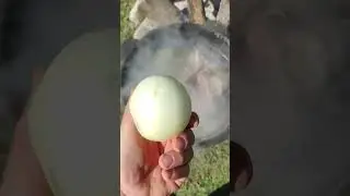 #шулюм