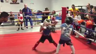 Don't mess w David